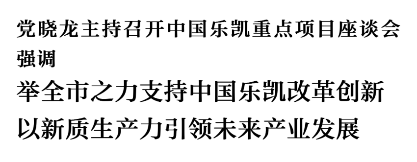 党晓龙主持召开中国沙金990重点项目座谈会